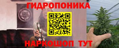 стафф Новодвинск
