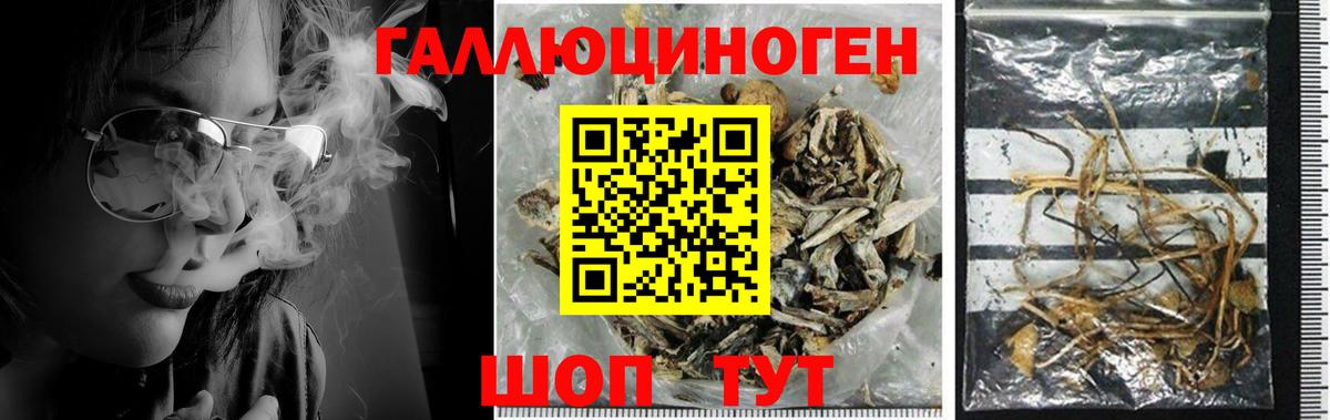 Псилоцибиновые грибы прущие грибы  Вход с VPN  Тобольск 